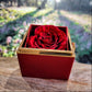 YOU ARE BRAVER THAN YOU THINK/ LOVE KNOT WITH ROTATING ROSE GIFT BOX
