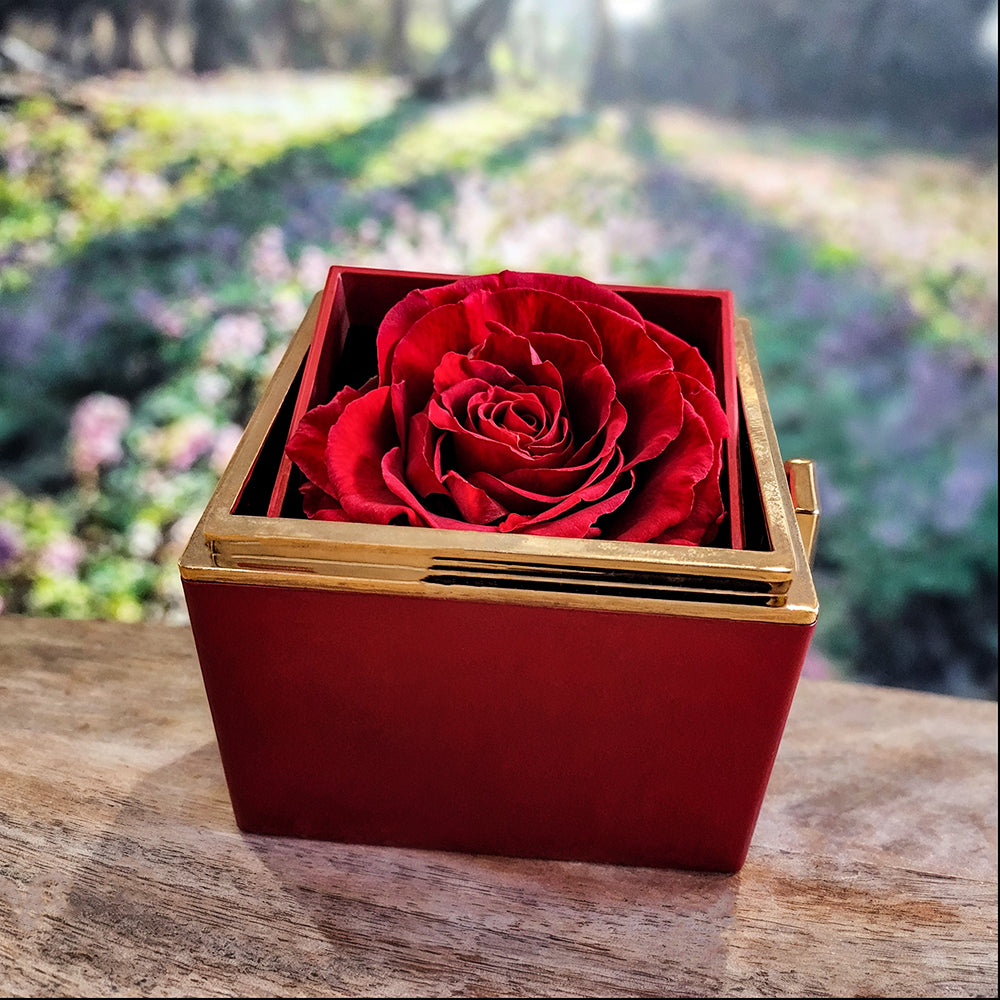 YOU ARE BRAVER THAN YOU THINK/ LOVE KNOT WITH ROTATING ROSE GIFT BOX