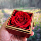 YOU ARE BRAVER THAN YOU THINK/ LOVE KNOT WITH ROTATING ROSE GIFT BOX