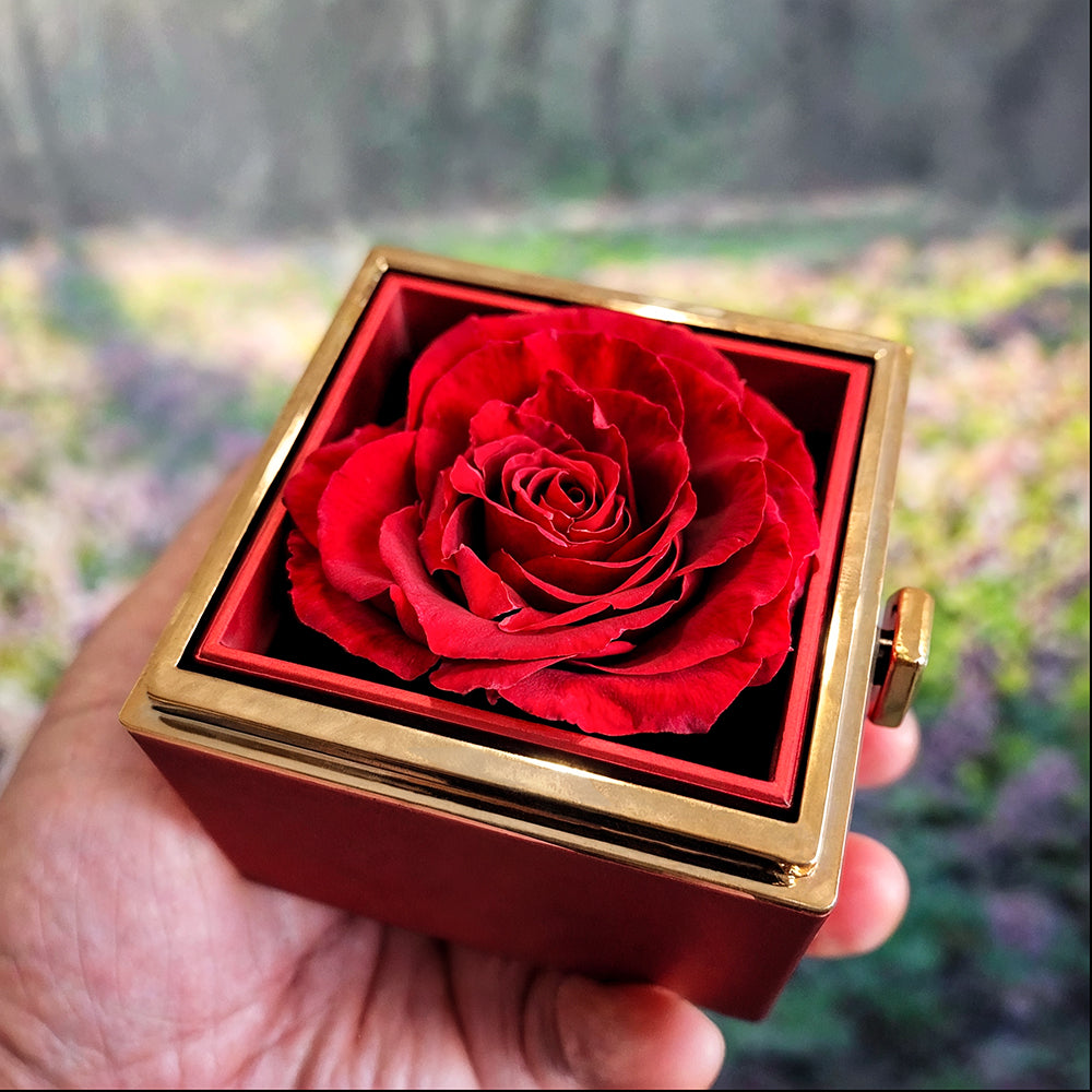 YOU ARE BRAVER THAN YOU THINK/ LOVE KNOT WITH ROTATING ROSE GIFT BOX