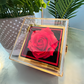 YOU ARE BRAVER THAN YOU THINK/ LOVE KNOT WITH ROTATING ROSE GIFT BOX