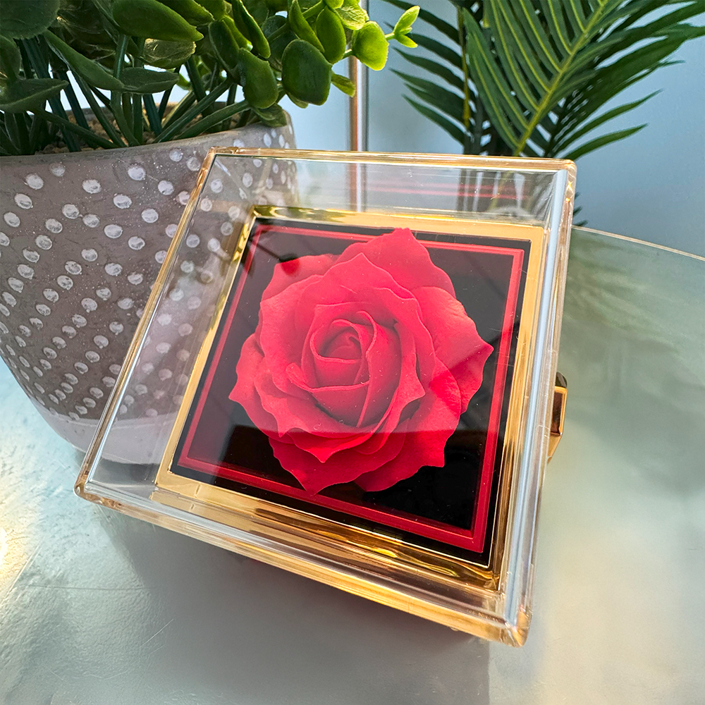 YOU ARE BRAVER THAN YOU THINK/ LOVE KNOT WITH ROTATING ROSE GIFT BOX